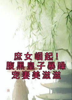 值得熬夜看完的庶女崛起！腹黑皇子暴躁宠妻美滋滋小说阅读