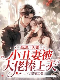 《高甜：闪婚小丑妻被大佬捧上天》无广告阅读 时念恩顾谨昀免费在线阅读