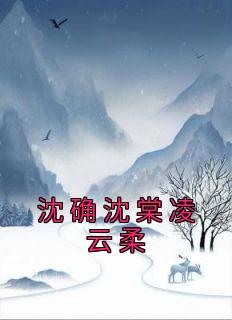 沈确沈棠凌云柔(新书)大结局在线阅读