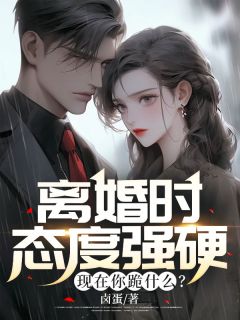 【热文】《离婚时态度强硬，现在你跪什么？》主角季远林清雪小说全集免费阅读