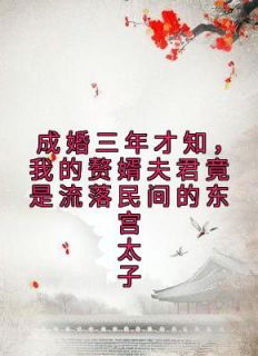 《成婚三年才知，我的赘婿夫君竟是流落民间的东宫太子》by佚名免费阅读小说大结局