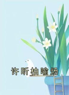 抖音许昕柚喻炀小说叫什么名字