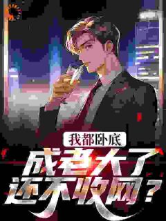 完整版《我都卧底成老大了，还不收网？》陆乘风韩黎明小说免费在线阅读