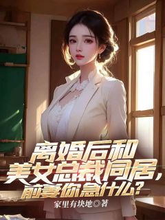 抖音爆款小说《离婚后和美女总裁同居，前妻你急什么？叶无伤安澜》免费txt全文阅读