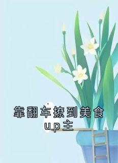 佚名写的小说《靠翻车撩到美食up主》林声声许言川沈真全文阅读