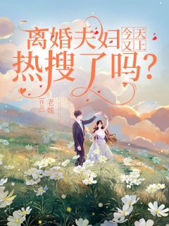 抖音离婚夫妇今天又上热搜了吗？小说章节阅读