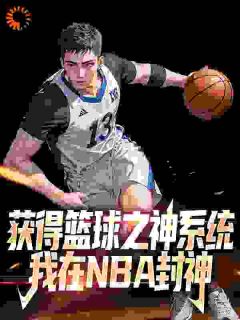 【获得篮球之神系统，我在NBA封神】主角(林昊麦迪)在线阅读