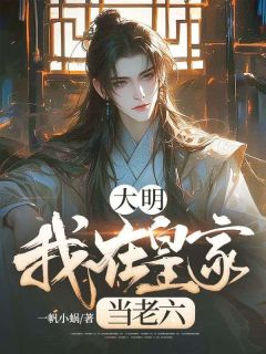 大明：我在皇家当老六免费阅读全文，主角叶荒青王小说完整版