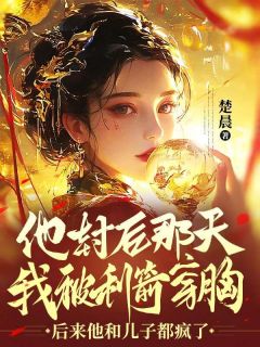 林鸢白祁《他封后那天我被利箭穿胸，后来他和儿子都疯了》完结版小说全文免费阅读