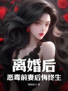 热文离婚后，恶毒前妻后悔终生小说-主角苏晨孔雪燕全文在线阅读