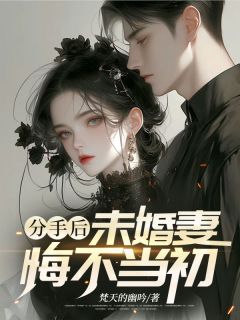 分手后，未婚妻悔不当初在线全文阅读-主人公沈南辰唐宁小说